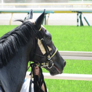 6/1　1R　ウイナーズサークル