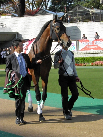 ５００万下（東京） ジェベルムーサ