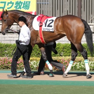 新馬戦　パドック