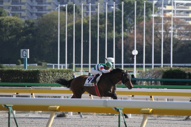 2歳500万下　レース ジェベルムーサ
