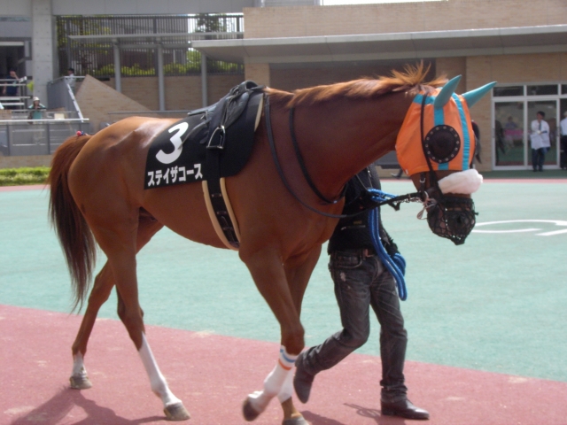 平成28年7月10日中京10R木曽川特別3 ステイザコース