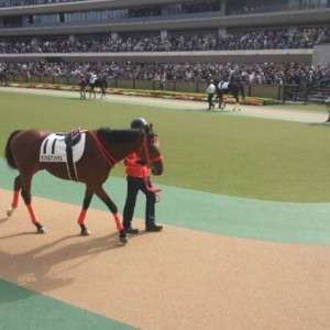 オスカルアンドラス_新馬戦