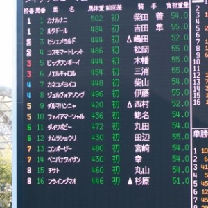 2012年12月24日　新馬戦