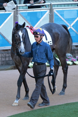 2012年12月24日　新馬戦　パドック カナルナニ