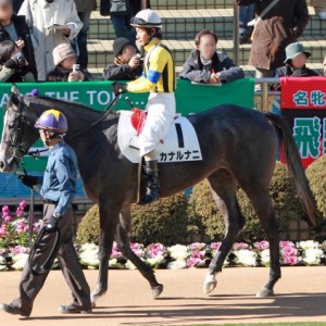 2012年12月24日　新馬戦　パドック