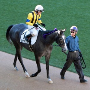 2012年12月24日　新馬戦　パドック