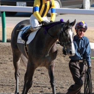 2012年12月24日　新馬戦　本馬場入場