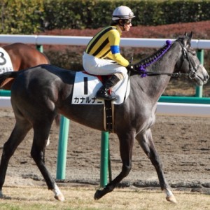 2012年12月24日　新馬戦　本馬場入場