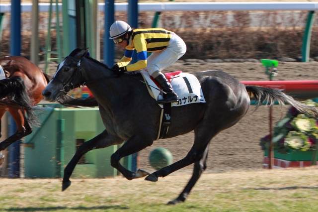 2012年12月24日　新馬戦　ゴール後 カナルナニ