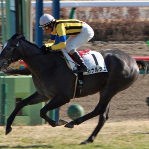 2012年12月24日　新馬戦　ゴール後