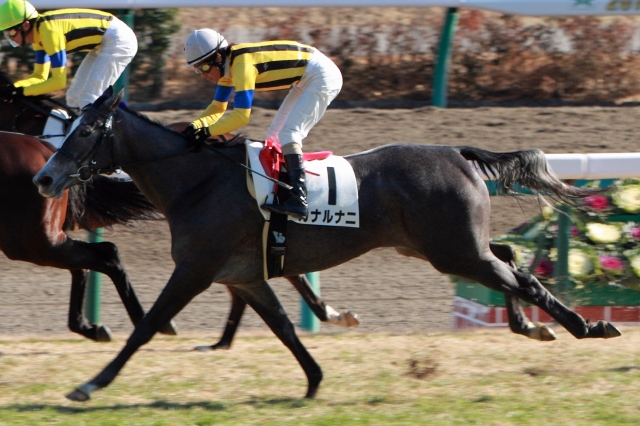 2012年12月24日　新馬戦　ゴール後 カナルナニ