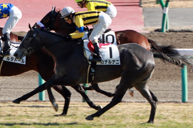 2012年12月24日　新馬戦　ゴール後 カナルナニ