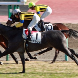 2012年12月24日　新馬戦　ゴール後