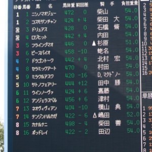 2013年1月19日　未勝利戦