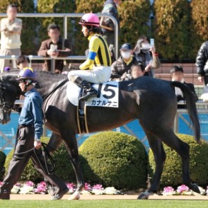 2013年1月19日　未勝利戦　パドック