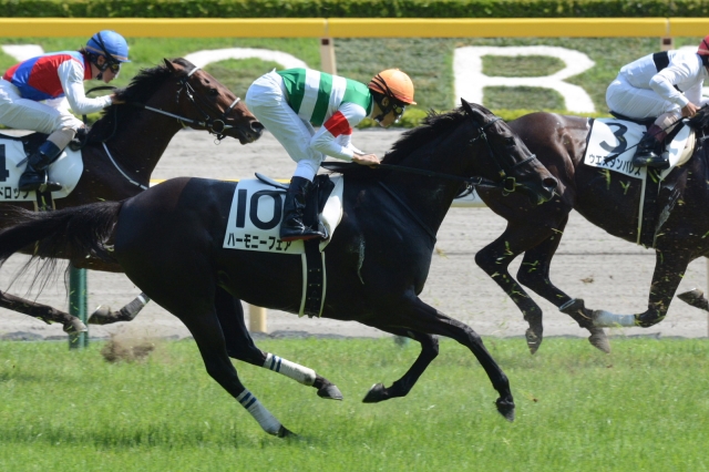 4歳上500万下 ハーモニーフェア