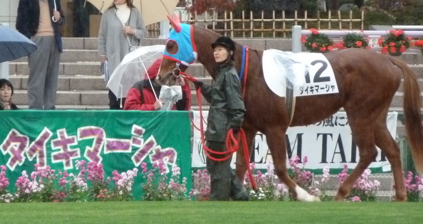 2012/11/17 メイクデビュー （横断幕と一緒に） タイキマーシャ