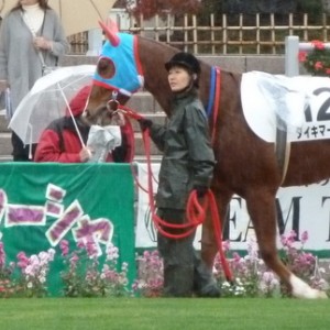 2012/11/17 メイクデビュー （横断幕と一緒に）