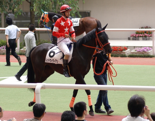 2013/06/09 未勝利戦 レッドヴィヴィアン