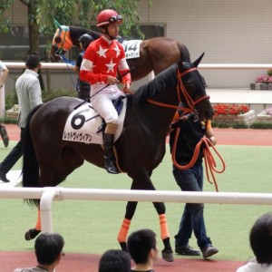 2013/06/09 未勝利戦