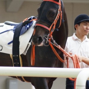 2013/06/09　未勝利戦