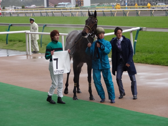 未勝利戦 口取り ダイアゴナルクロス