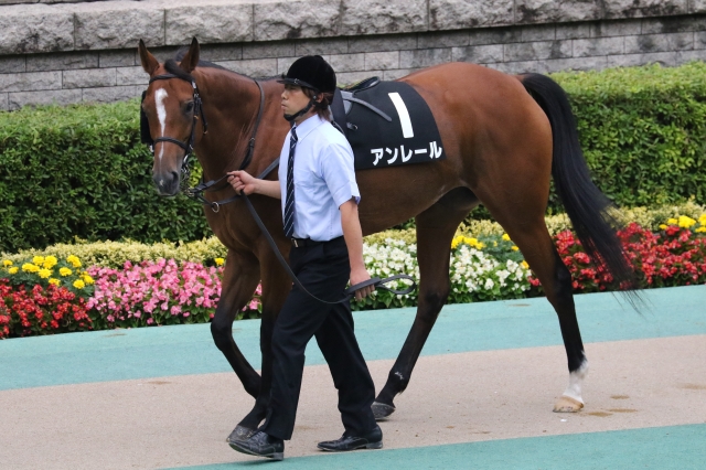 パドック アンレール