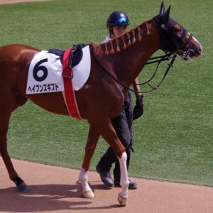 ラストランになってしまいました。。。