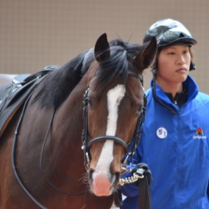 アルメリア賞パドック