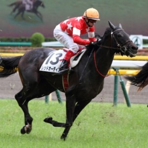 6/16　3歳未勝利戦（レース）