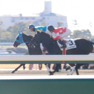 ２走目・本馬場入場