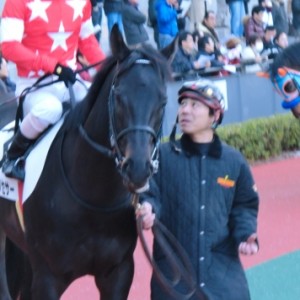 ２走目・パドック