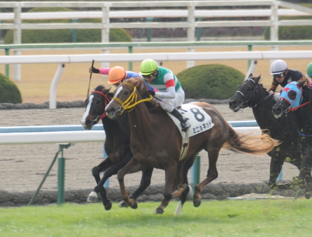 新馬戦レース ミニョネット