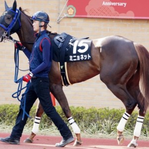 2014.3.29 中京12R 豊橋特別