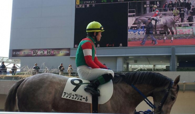 ３戦目　３歳未勝利　阪神　パドック アンジュプリエール