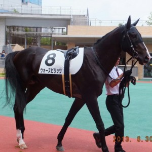2013/6/30　　中京2R　3歳未勝利戦　パドック