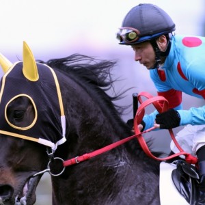 2戦目3歳未勝利阪神芝1800-3
