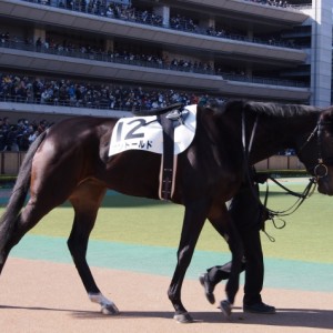 東京２Ｒ　３歳新馬