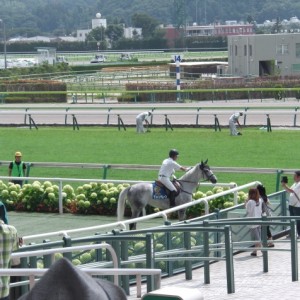 福島競馬場で誘導馬