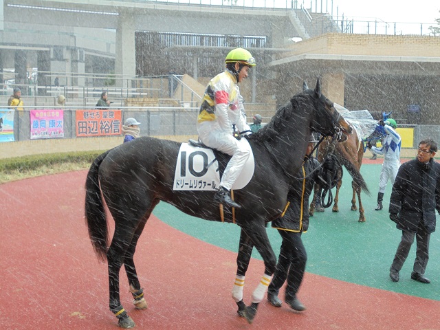 4才上500万1800mダート ドリームリヴァール