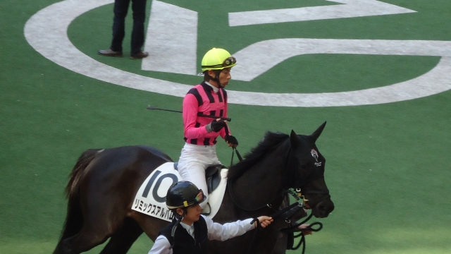 4/13未勝利戦パドック リミックスアルバム