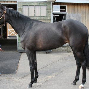 NF空港牧場にて1