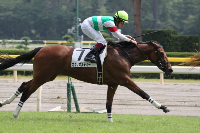 新馬戦　直線 キュリオスティー