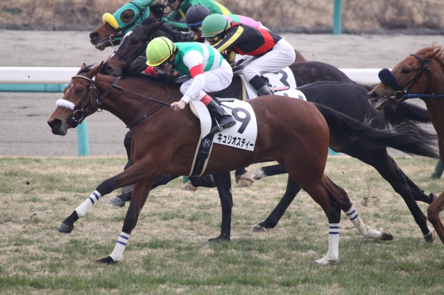 ３歳未勝利戦　直線 キュリオスティー