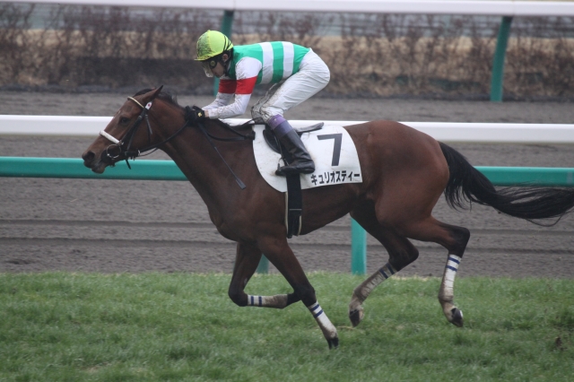 ３月２日　３歳牝馬限定５００万下　直線 キュリオスティー