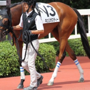 2014年8月31日　3歳以上500万下　パドック