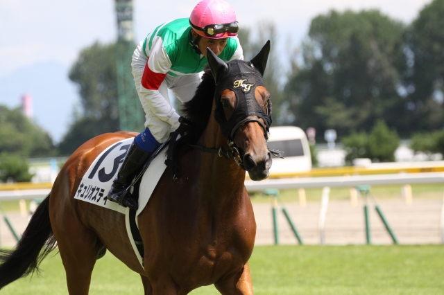 2014年8月31日　3歳以上500万下　返し馬 キュリオスティー