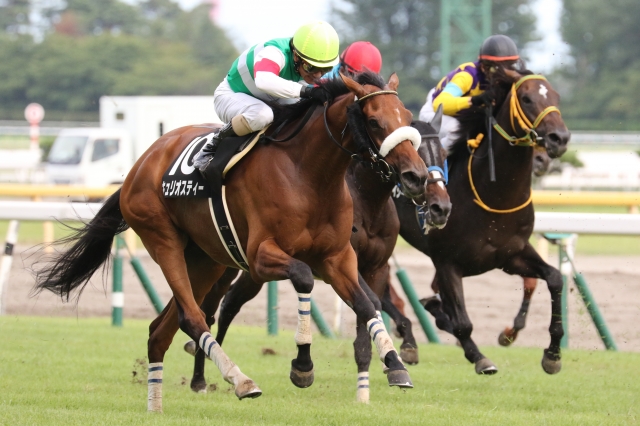 2015年燕特別　直線 キュリオスティー