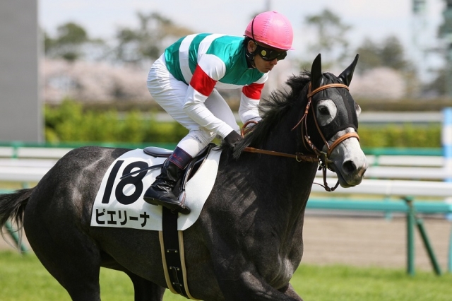 2014.4.5 デビュー！ 中山5R 3歳未勝利 ピエリーナ