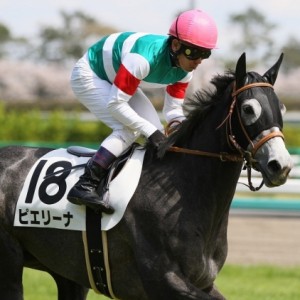 2014.4.5 デビュー！ 中山5R 3歳未勝利
